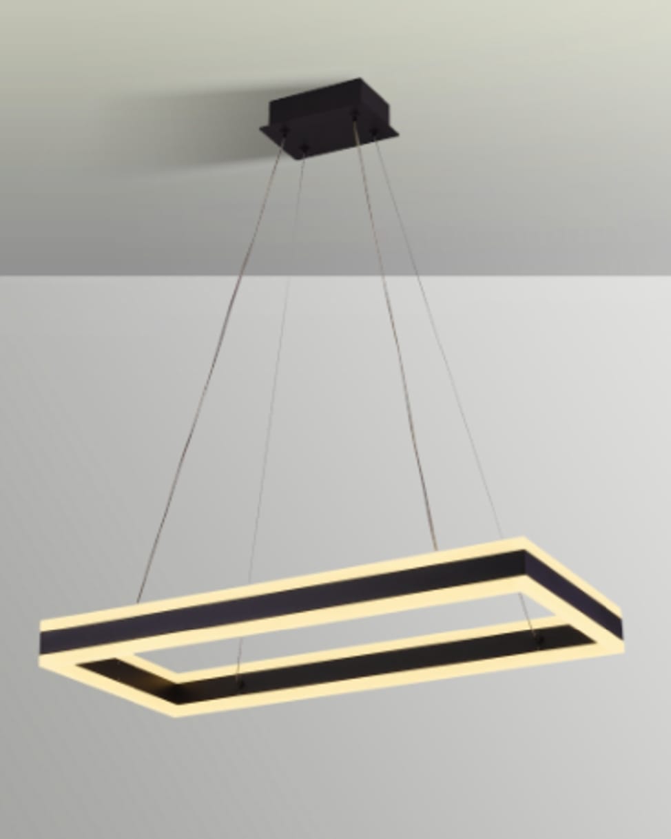 Modern Rectangular 2light LED Light Fixture